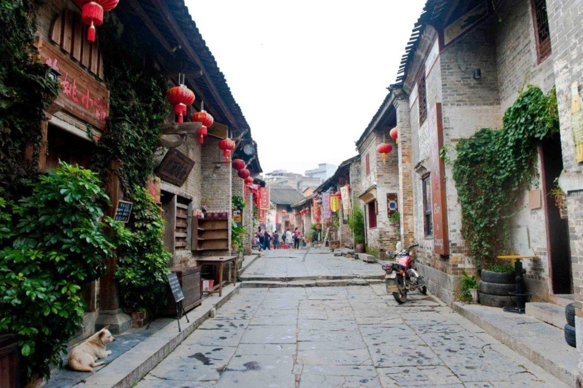 机智问答网页-智慧挑战,快速解答疑问-什么样的绿萝么样的水仙花什么样的什么?